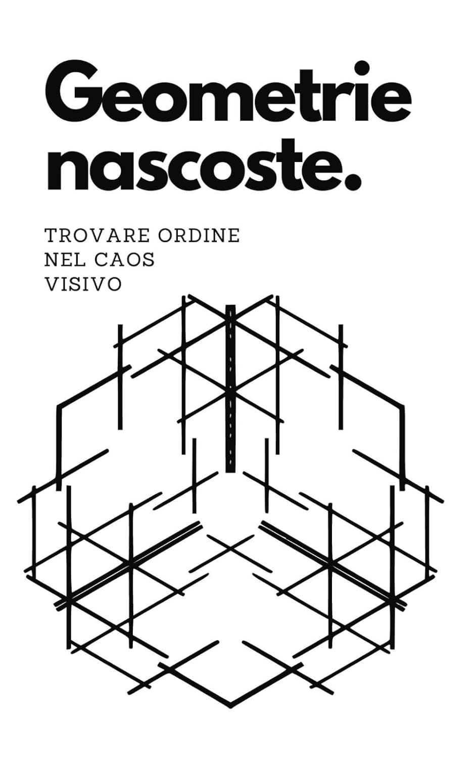 ler totalmente Geometrie nascoste: Trovare ordine nel caos visivo (Italian Edition)