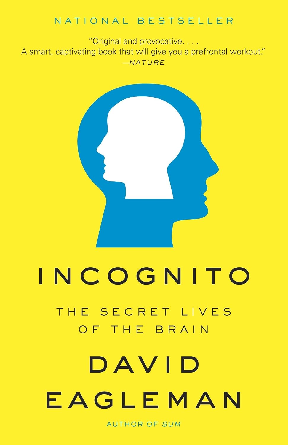 Incognito: The Secret Lives of the Brain baixar o livro de graça