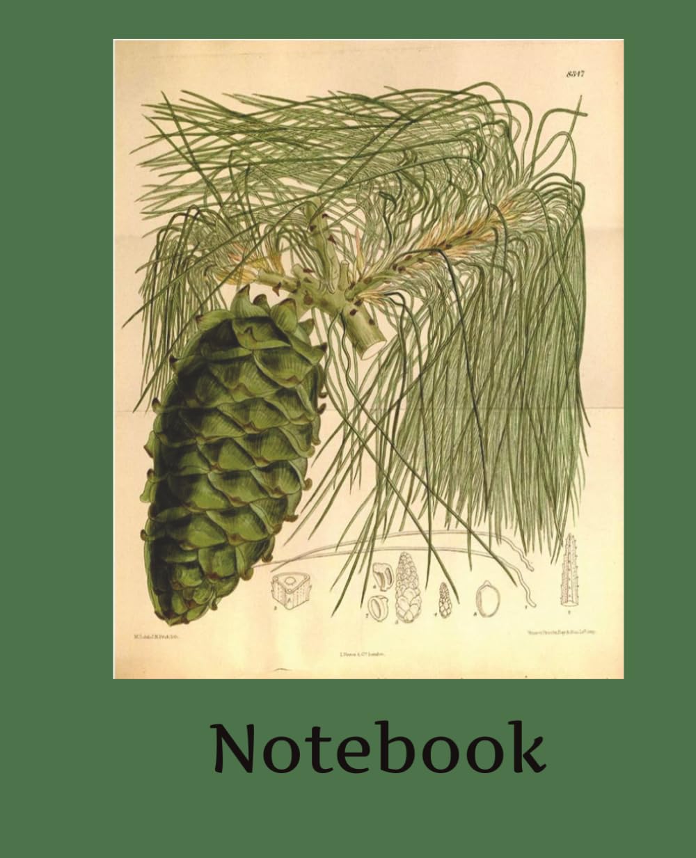 Vintage Pinecone Drawing on Composition Notebook: Sustainable Groundwood Paper Journal baixar o livro de graça