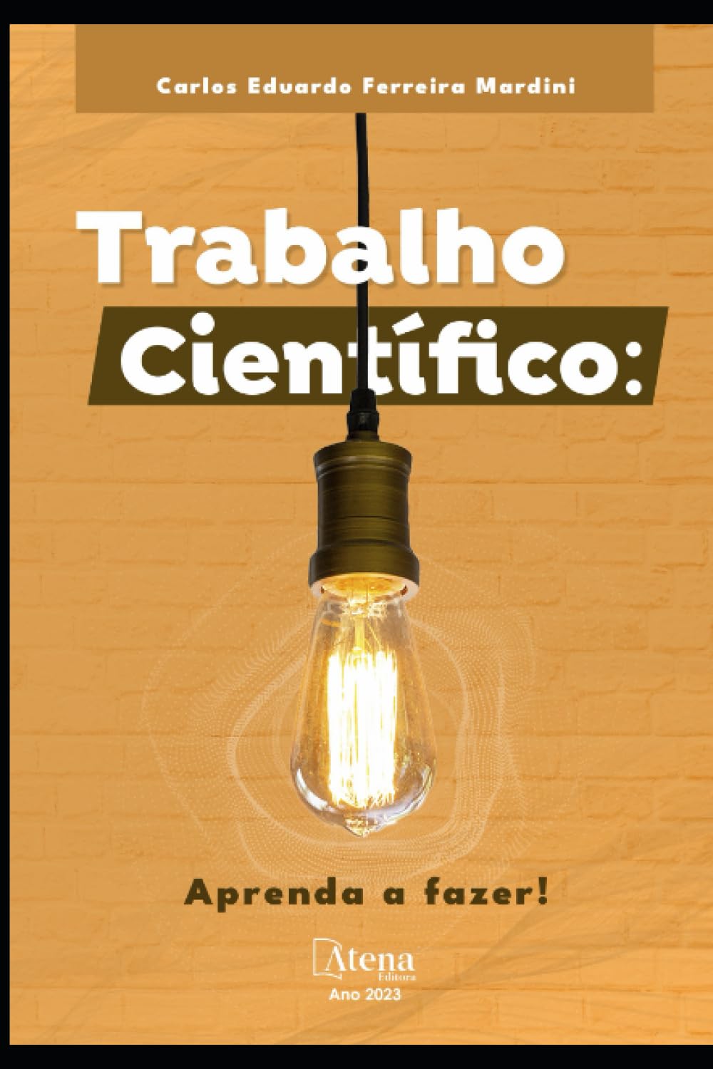 ler totalmente Trabalho Científico: aprenda a fazer ! (Portuguese Edition)