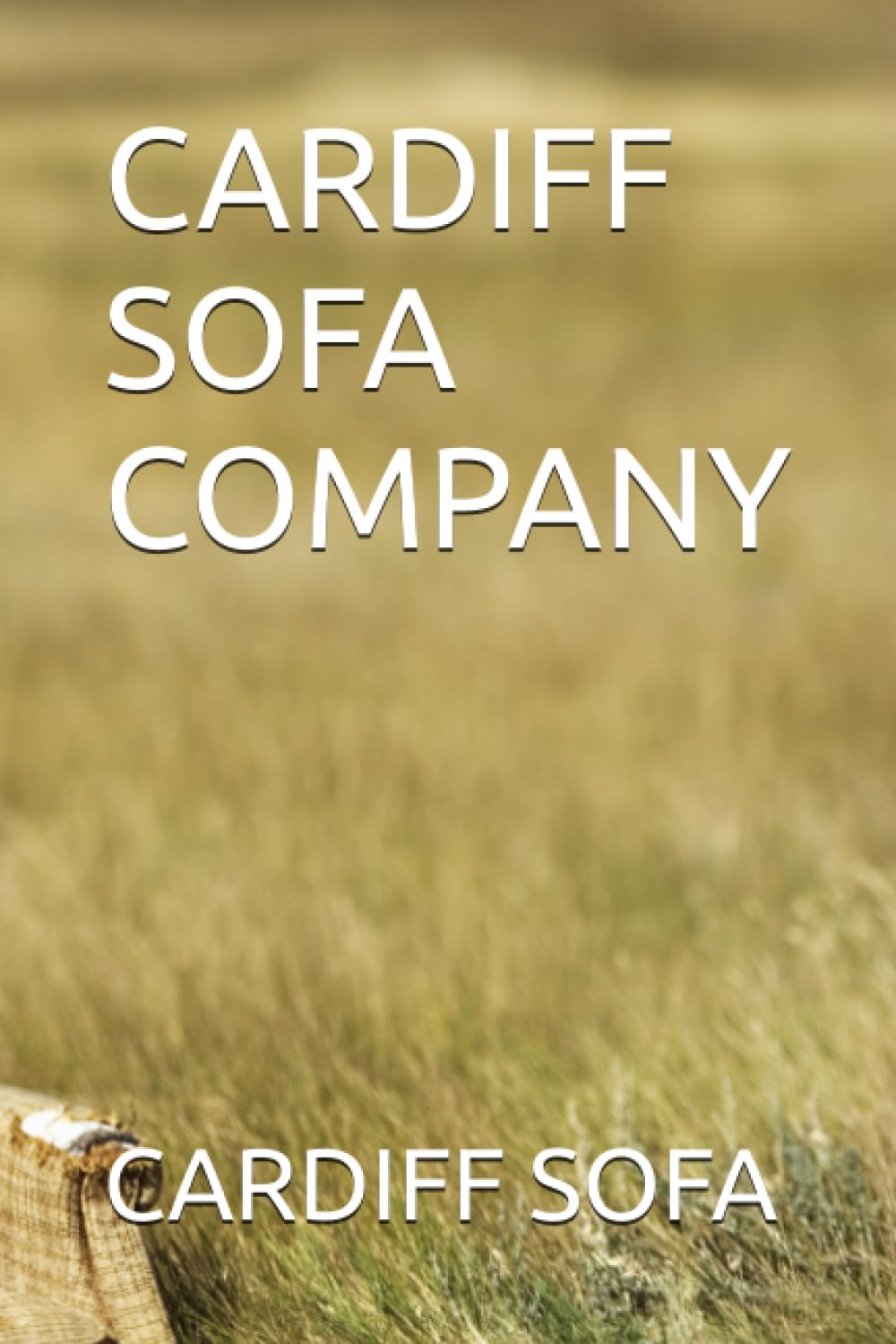 CARDIFF SOFA COMPANY baixar o livro de graça