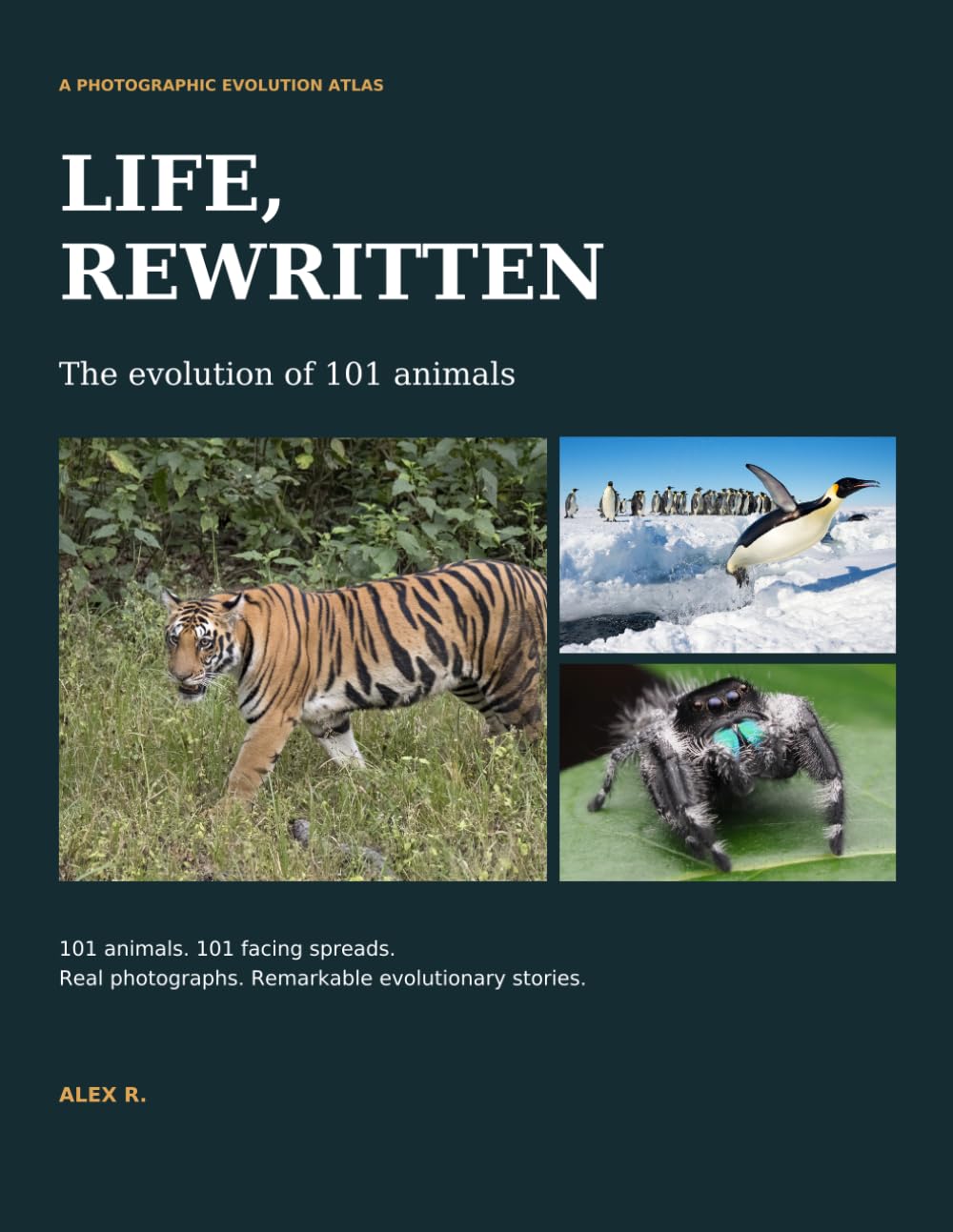 ler totalmente LIFE, REWRITTEN