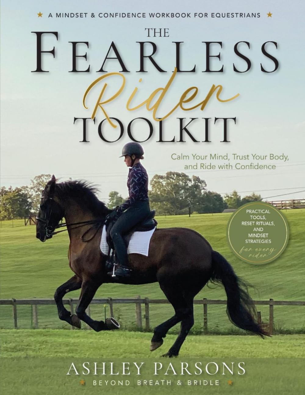 ler totalmente Fearless Rider Toolkit: A Nervous System Based Confidence Program for the Equestrian