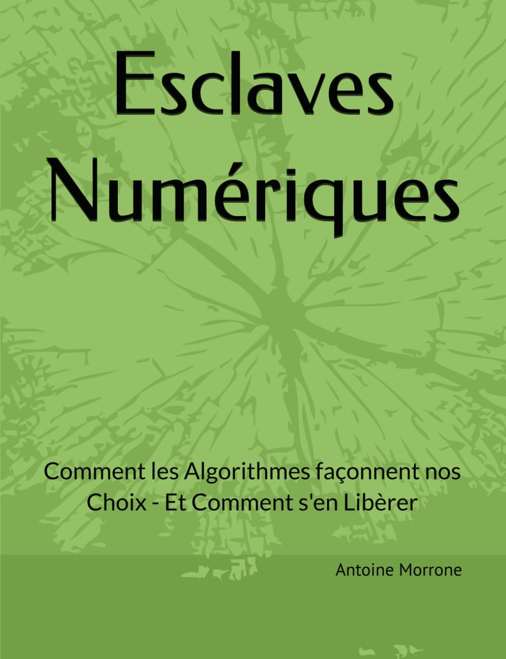 ler totalmente Esclaves Numériques: Comment les Algorithmes façonneny nos Choix-Et Comment s'en Libèrer (French Edition)