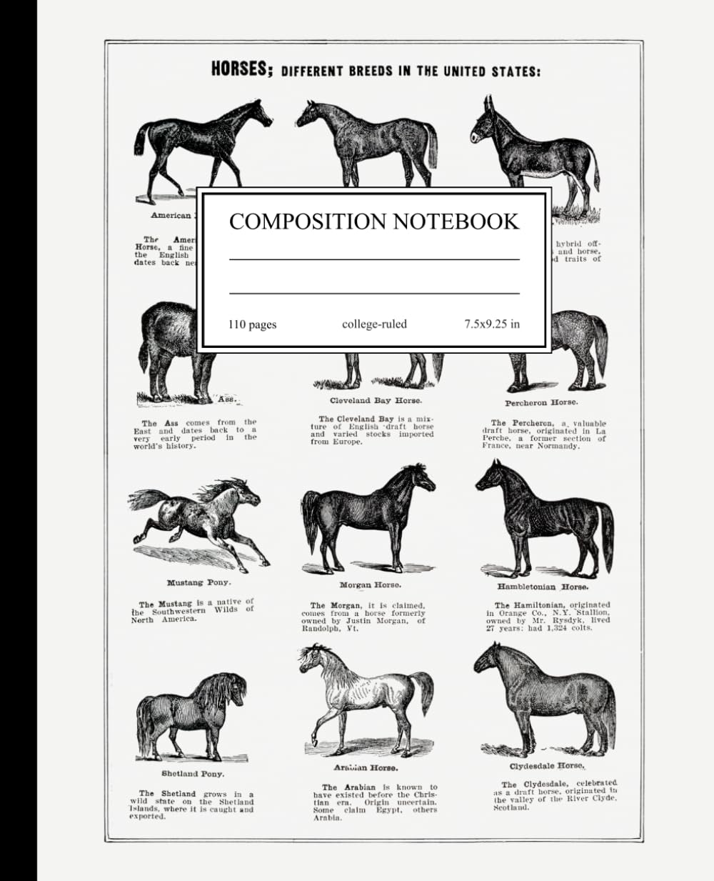 ler totalmente Composition Notebook College Ruled: Vintage Horse Illustration | Fire Horse 2026 | Equestrian Gift | Cute Journal with Horse for School, College, Office, and Work | Gift for Horse Lover