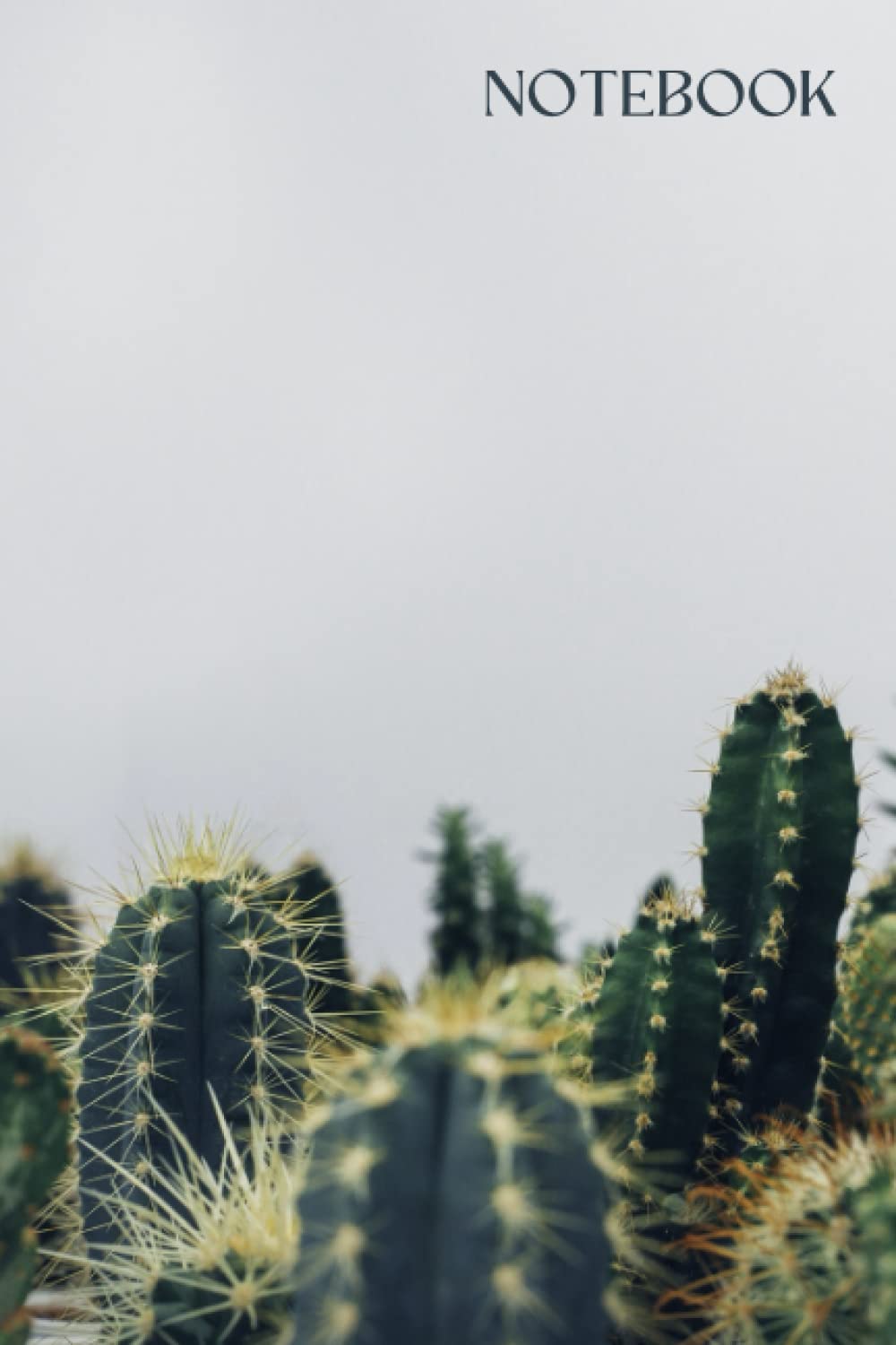 ler totalmente Notebook: Cactus Cover with Blank Lined Pages