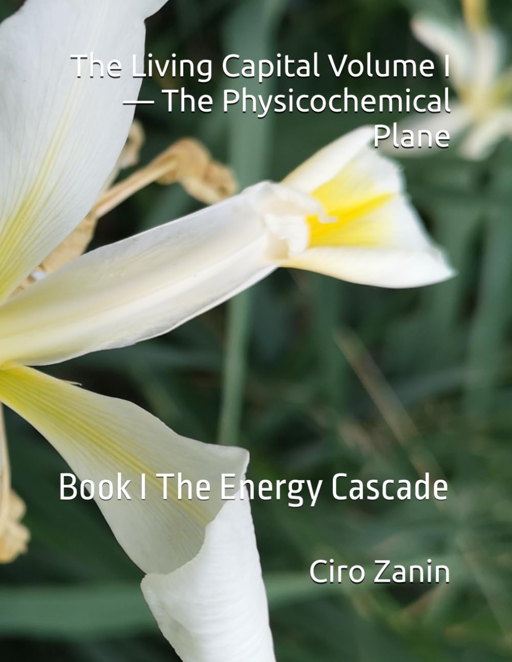 The Living Capital Volume I — The Physicochemical Plane: Book I The Energy Cascade (Living Capital Framework) baixar o livro de graça