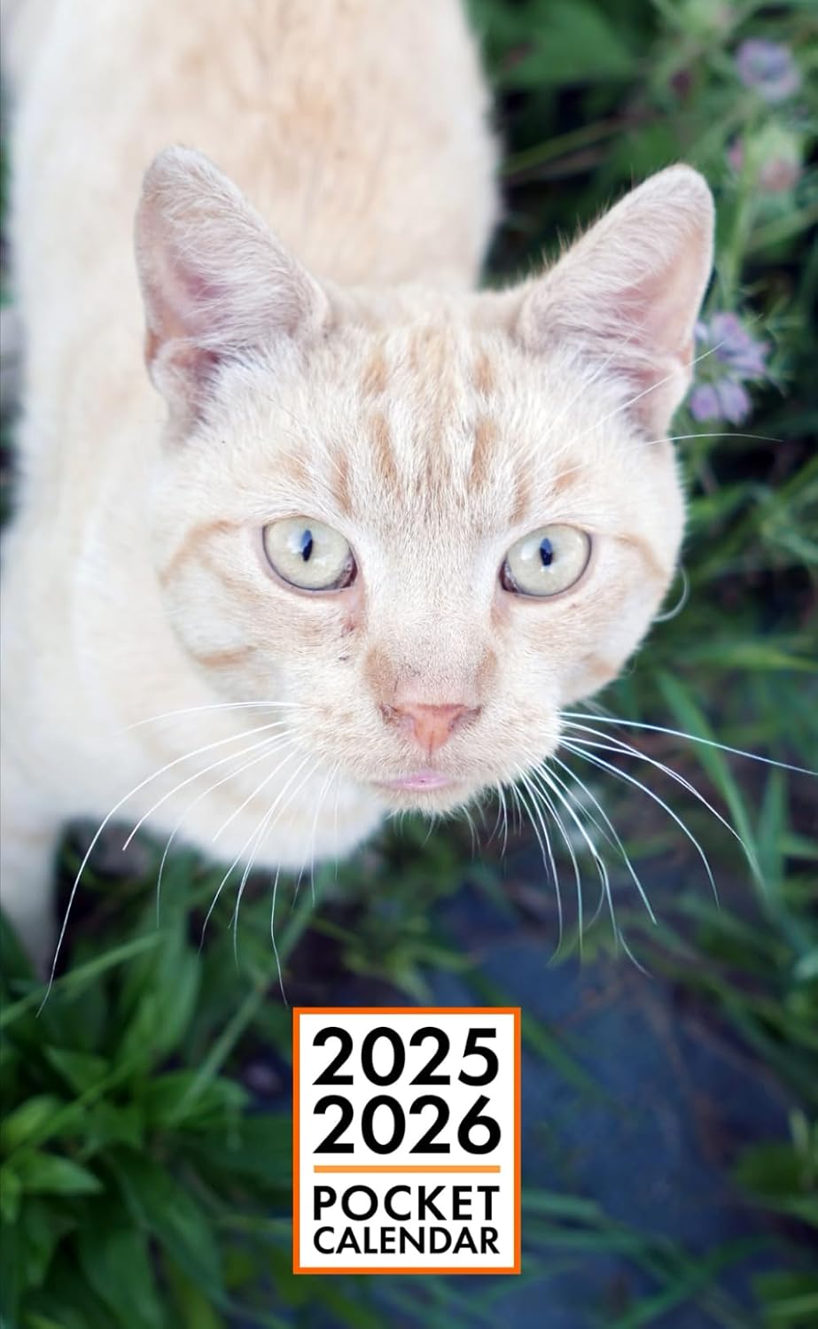 Pocket Calendar 2025-2026 for Purse - Ginger Cat v1 | 2 Year Pocket Planner January 2025 - December 2026 | Small Pocket Size 4 x 6.5 | Sketches of Cats in the Middle baixar livro de graça