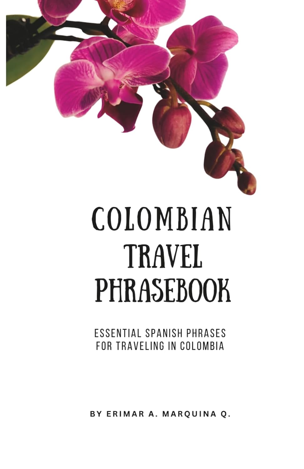 Colombian Spanish Travel Phrasebook: Essential Phrases, Real Slang and Cultural Tips for Traveling in Colombia baixar o livro de graça