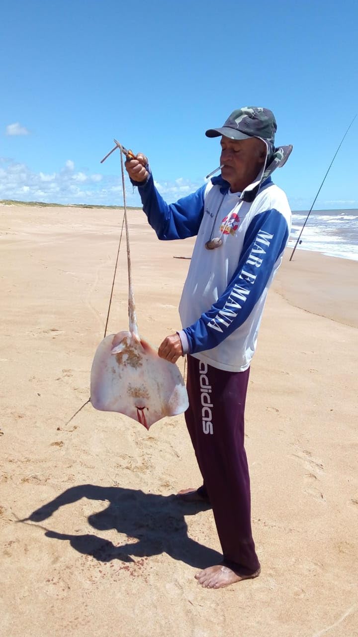 Guia de pesca para iniciantes baixar o livro de graça