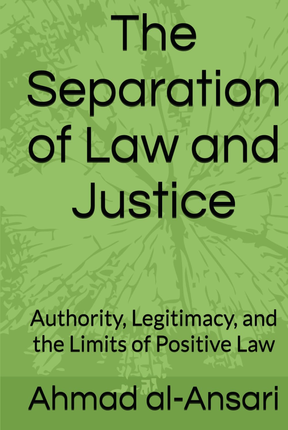 The Separation of Law and Justice: Authority, Legitimacy, and the Limits of Positive Law baixar livro de graça