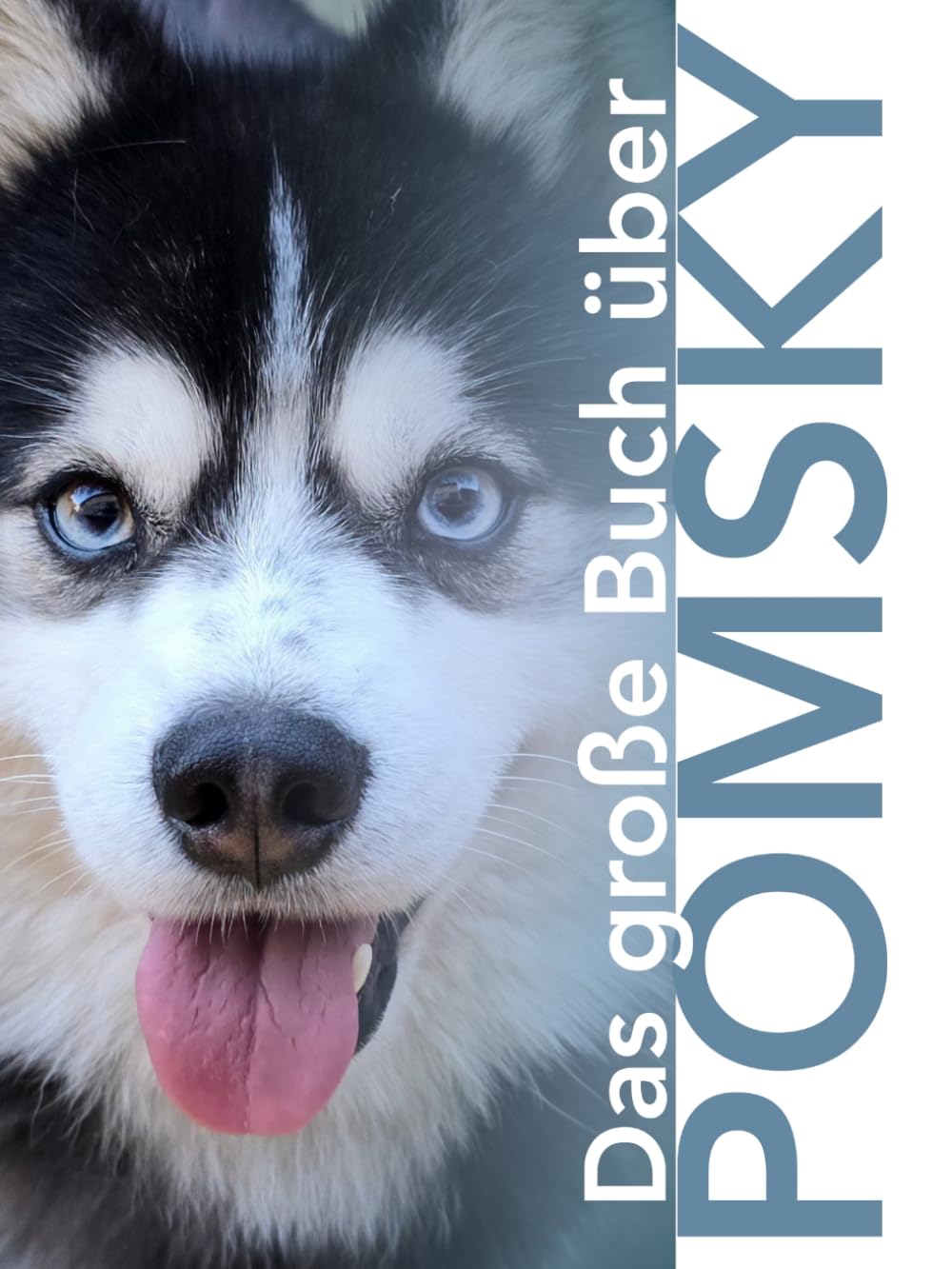 ler totalmente Das große Buch vom Pomsky: Ein fundierter Leitfaden für Interessierte, Halter und alle, die sich für diese besondere Rasse interessieren (German Edition)