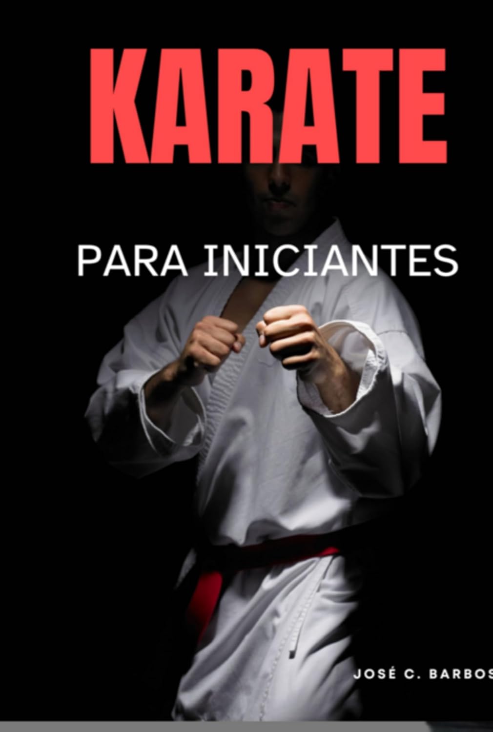 Karatê Para Iniciantes