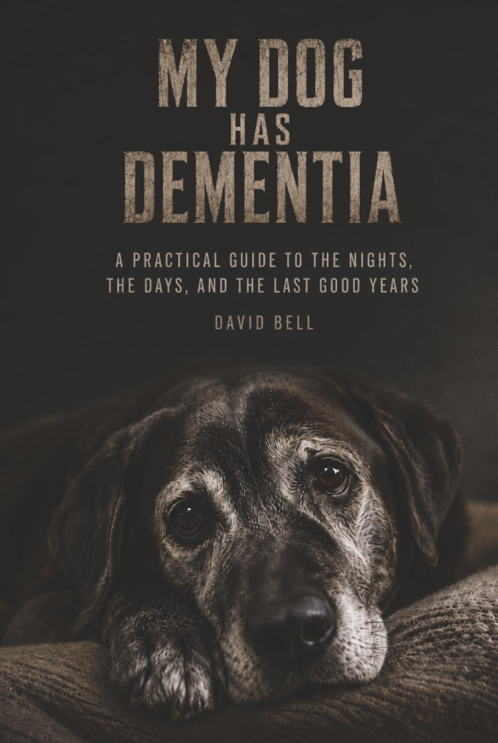 MY DOG HAS DEMENTIA: A Practical Guide to the Nights, the Days, and the Last Good Years baixar o livro de graça