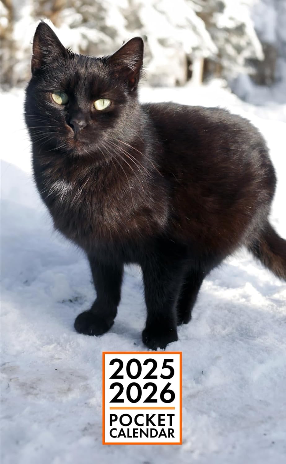 Pocket Calendar 2025-2026 for Purse - Black Cat v1 | 2 Year Pocket Planner January 2025 - December 2026 | Small Pocket Size 4 x 6.5 | Sketches of Cats in the Middle baixar livro de graça