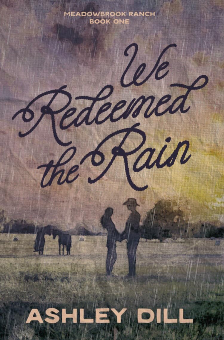 We Redeemed the Rain: A Friends to Lovers, Penpals, Cowboy Romance (Meadowbrook Ranch Book 1) (English Edition) baixar livro de graça