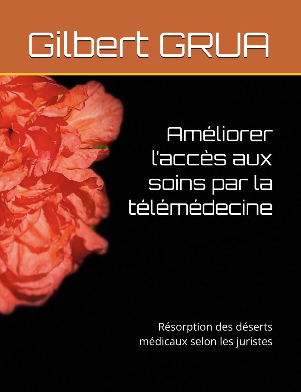 ler totalmente Améliorer l’accès aux soins par la télémédecine: Résorption des déserts médicaux selon les juristes (French Edition)
