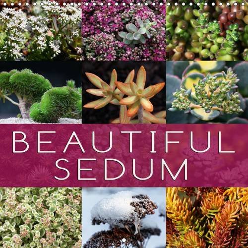 Beautiful Sedum 2016: Portraits of beautiful Sedum varieties baixar o livro de graça