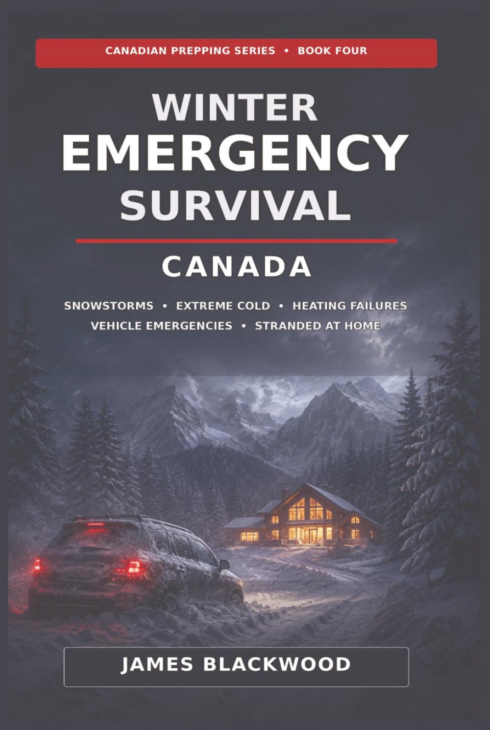 capítulo por capítulo baixar Winter Emergency Survival - Canada: Snowstorms - Extreme Cold - Heating Failures - Vehicle Emergencies - Stranded at home (Prepping in Canada)