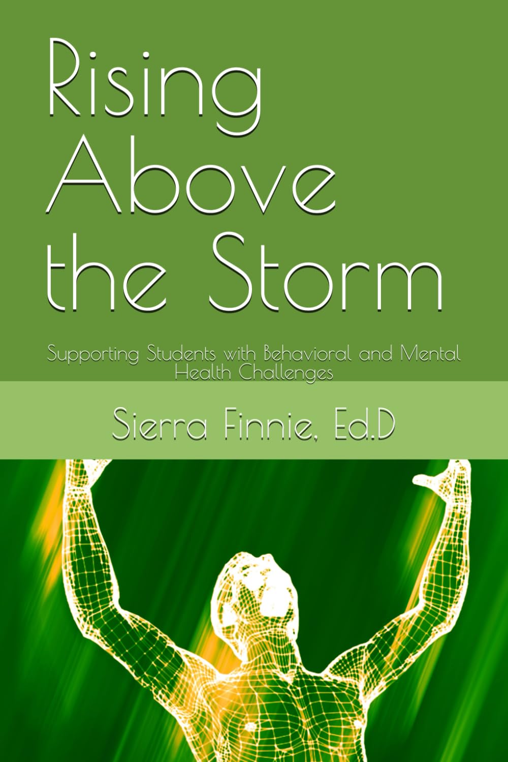 Rising Above the Storm: Supporting Students with Behavioral and Mental Health Challenges baixar livro de graça
