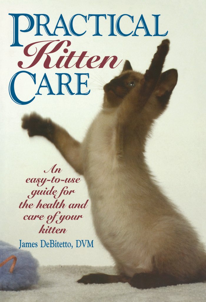Practical Kitten Care (English Edition) baixar livro de graça