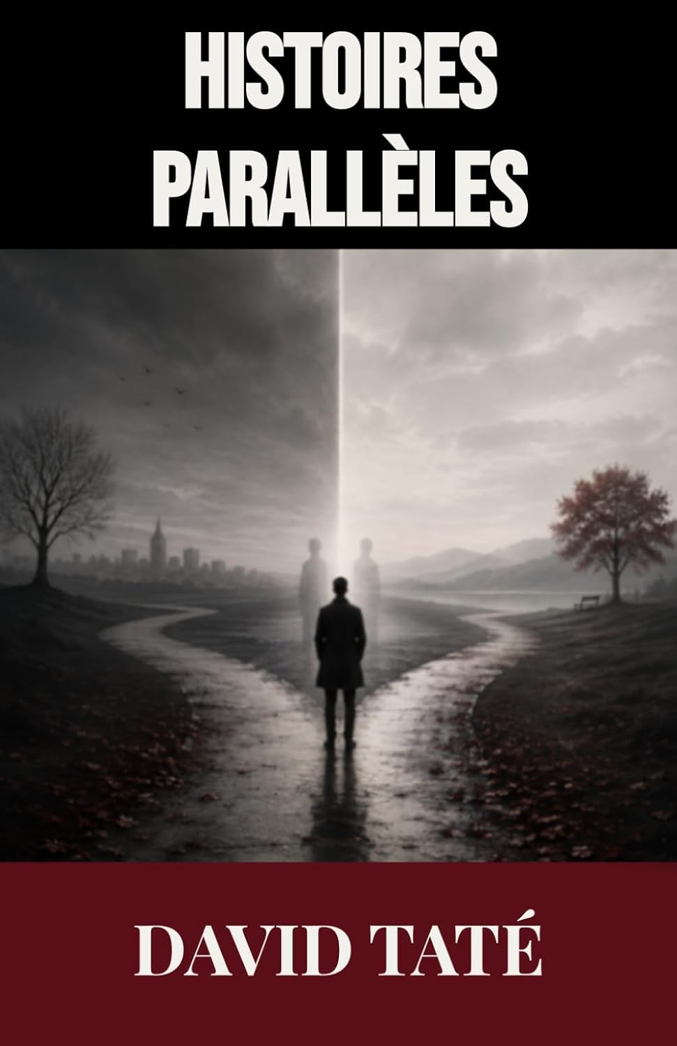 capítulo por capítulo baixar Histoires parallèles (Nouvelles) (French Edition)