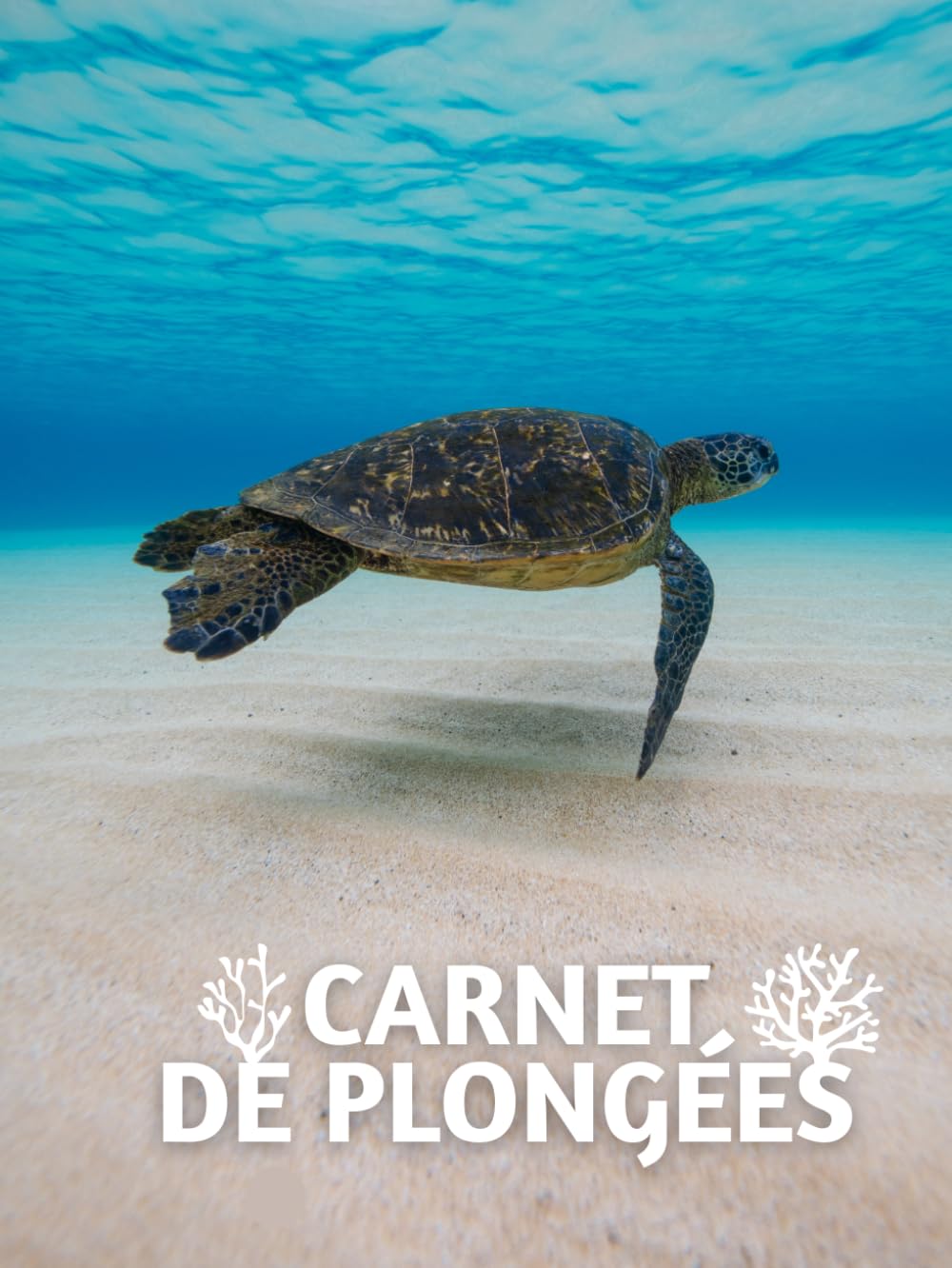 capítulo por capítulo baixar Carnet de Plongées et Exploration sous marine. Noter, Analyser, Conserver.: Journal pour 90 plongées à noter en détail – Papier 74-90 g/m2 –... écrire, planifier et créer) (French Edition)