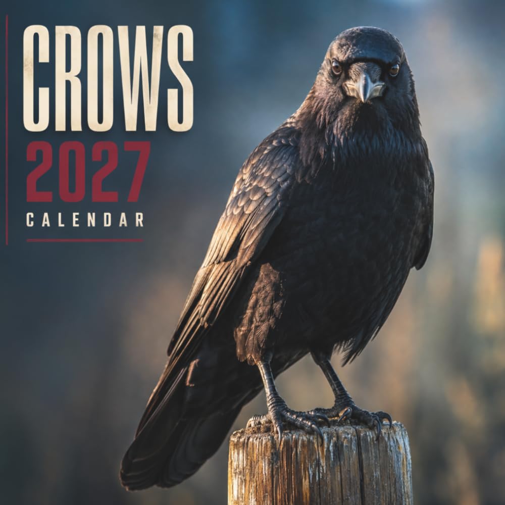 capítulo por capítulo baixar Crows Calendar 2027: 12 Months of Stunning Photography in Nature