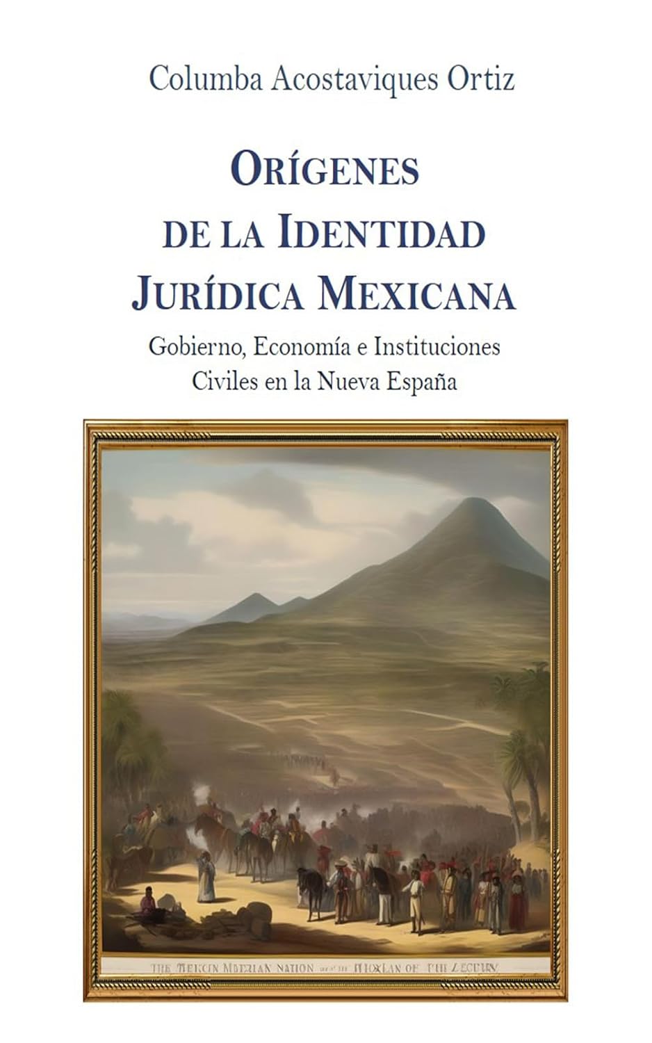ler totalmente Orígenes de la Identidad Jurídica Mexicana: Gobierno, Economía e Instituciones Civiles en la Nueva España (Spanish Edition)