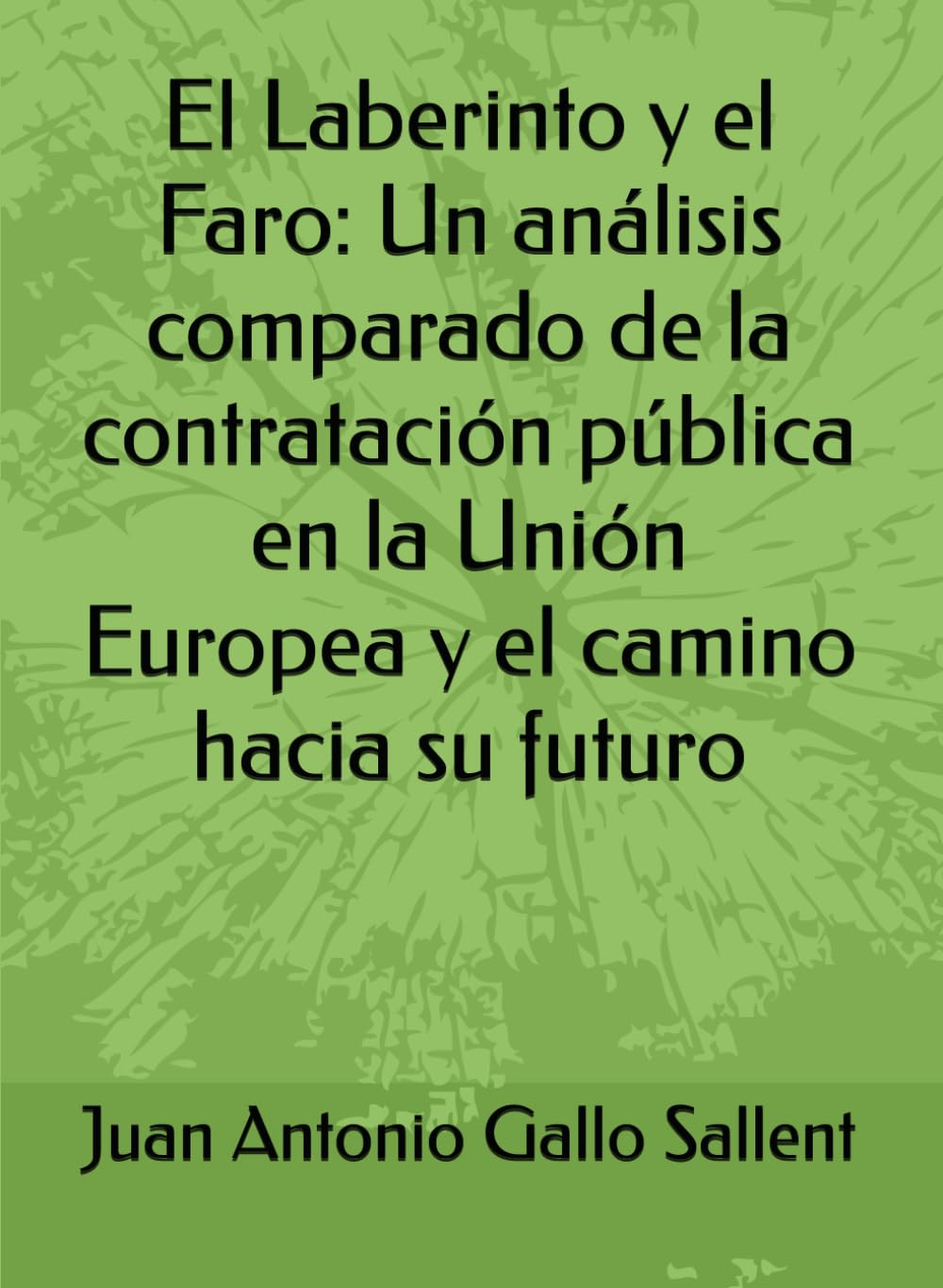 El Laberinto y el Faro: Un análisis comparado de la contratación pública en la Unión Europea y el camino hacia su futuro (Spanish Edition) baixar livro de graça