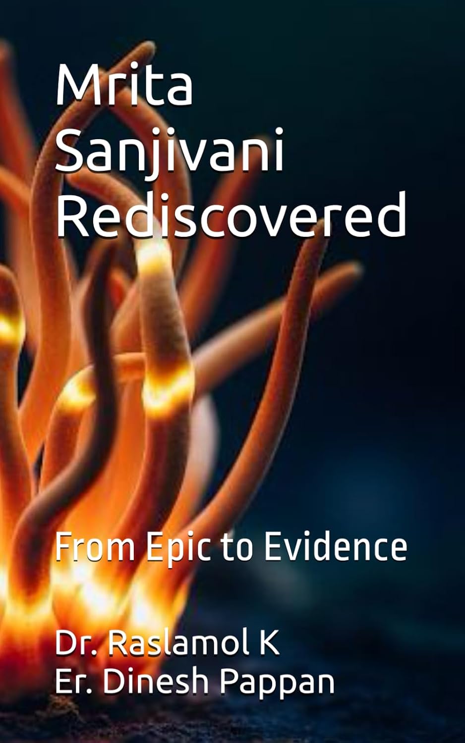 Mrita Sanjivani Rediscovered: From Epic to Evidence baixar o livro de graça