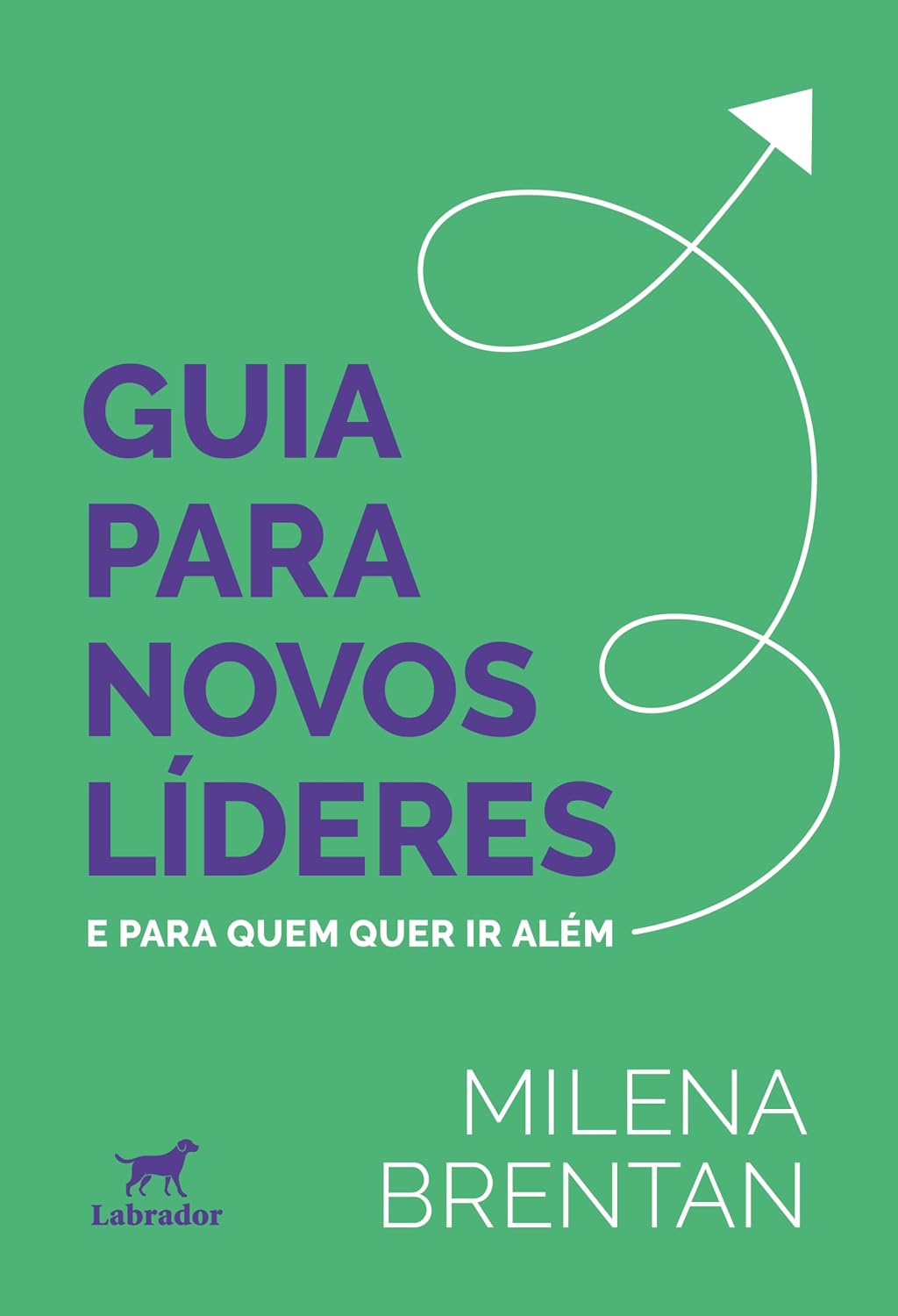 Guia para novos líderes: E para quem quer ir além baixar livro de graça