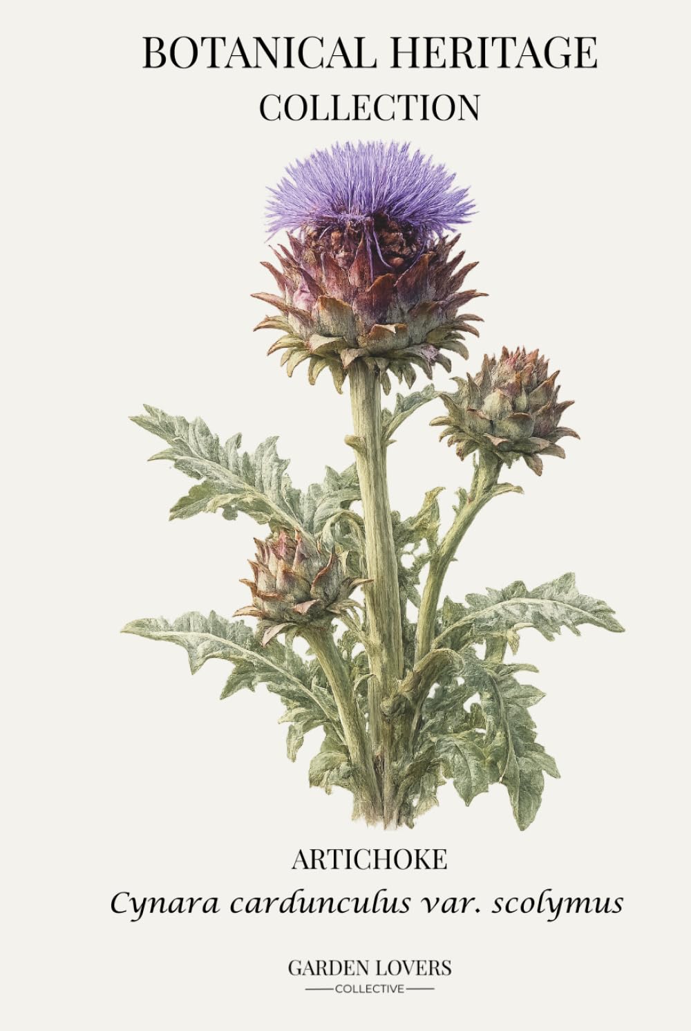 Artichoke: A Botanical Heritage Collection Notebook Featuring Cynara cardunculus var. scolymus baixar livro de graça