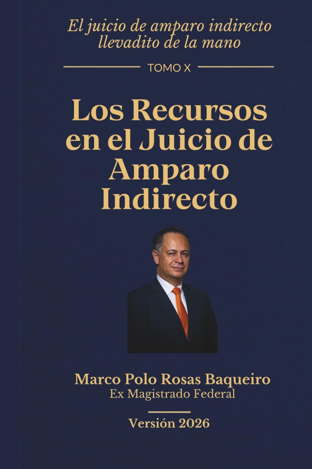 Los recursos en el juicio de amparo indirecto (El juicio de amparo indirecto llevadito de la mano versión 2026) (Spanish Edition) baixar o livro de graça