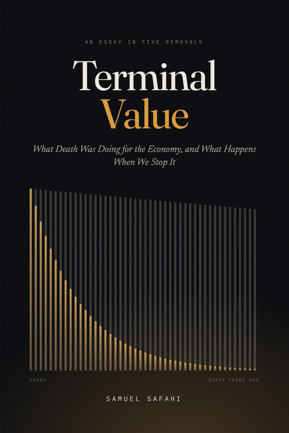 Terminal Value: What Death Was Doing for the Economy, and What Happens When We Stop It baixar livro de graça