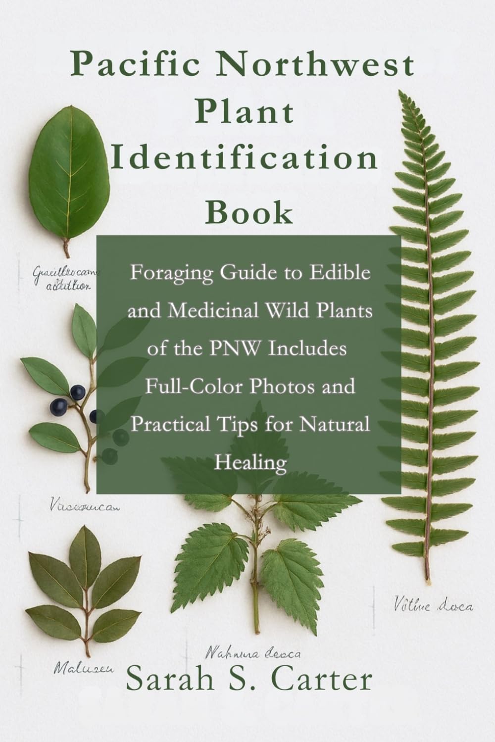 ler totalmente Pacific Northwest Plant Identification Book: Foraging Guide to Edible and Medicinal Wild Plants of the PNW Includes Full-Color Photos and Practical... Natural Healing (Excursions around the world)