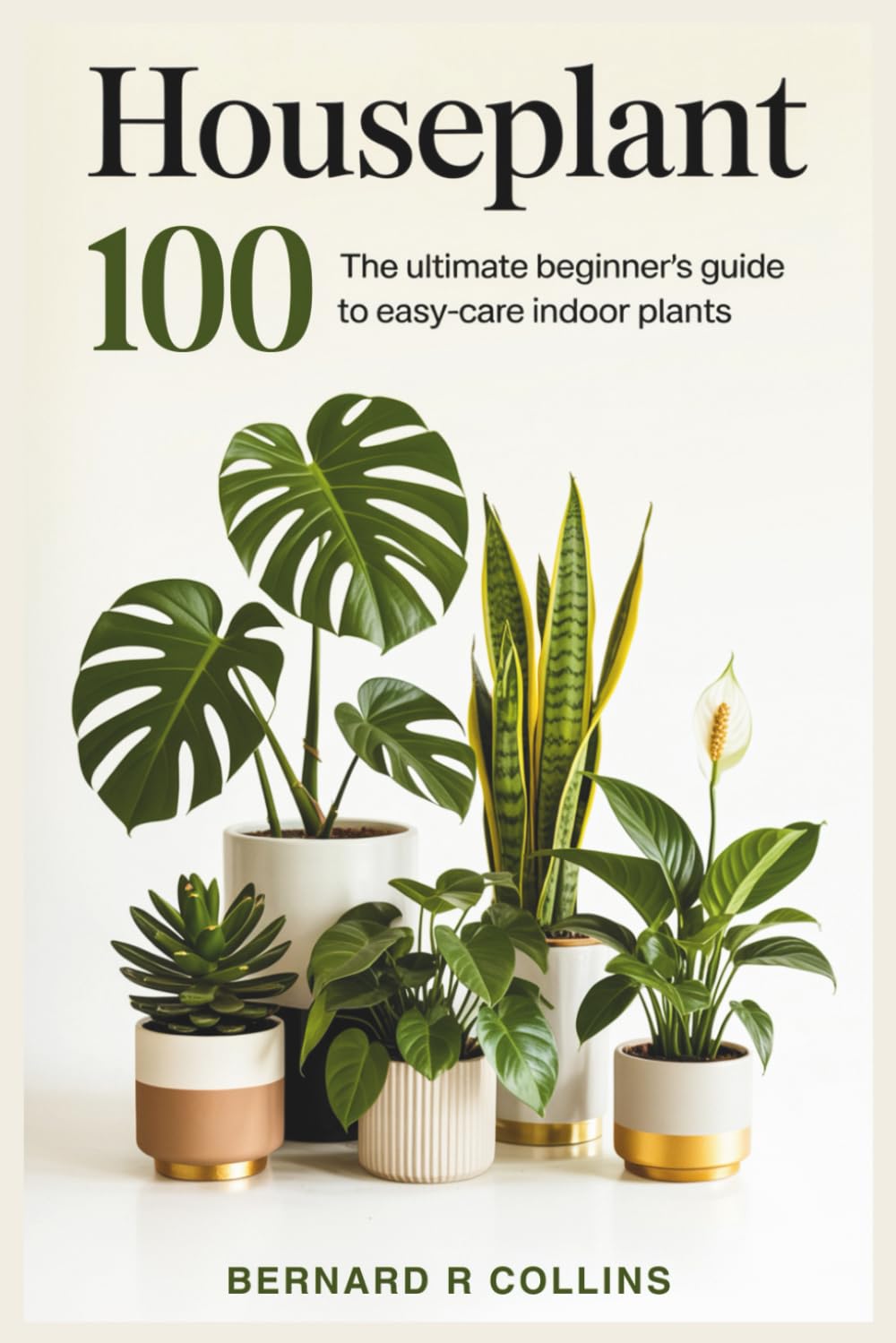 capítulo por capítulo baixar Houseplant 100: The Ultimate Beginner's Guide to Easy-Care Indoor Plants