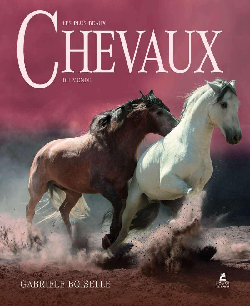 capítulo por capítulo baixar Les Plus Beaux Chevaux du Monde