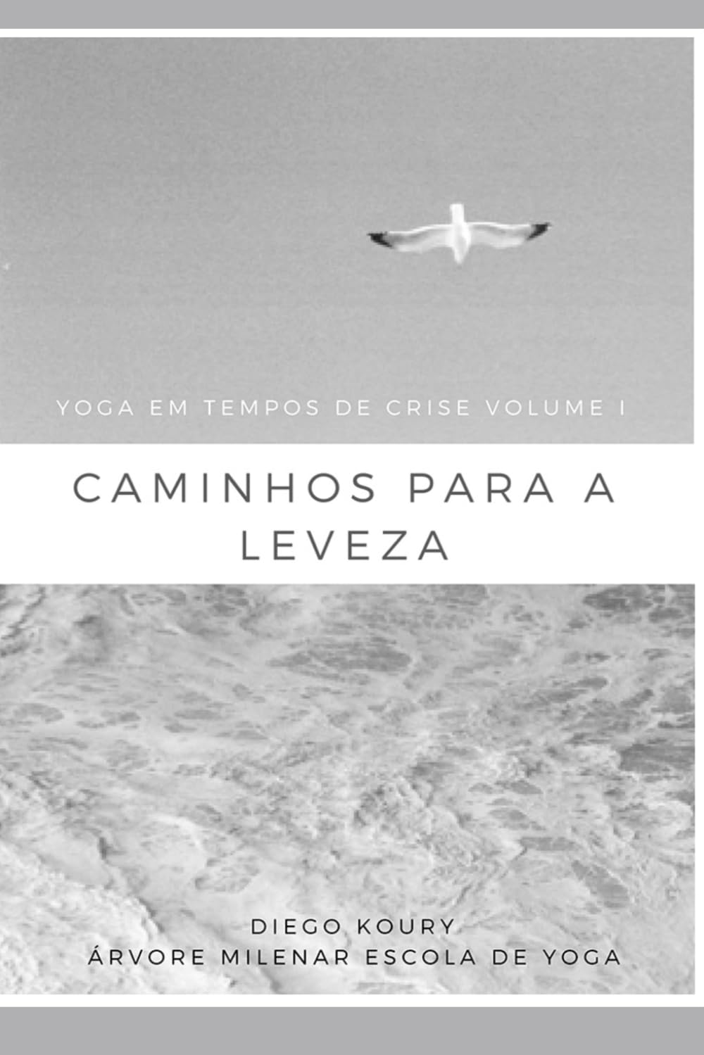 ler totalmente Yoga em tempos de crise: volume 1 Caminhos para a leveza (Portuguese Edition)