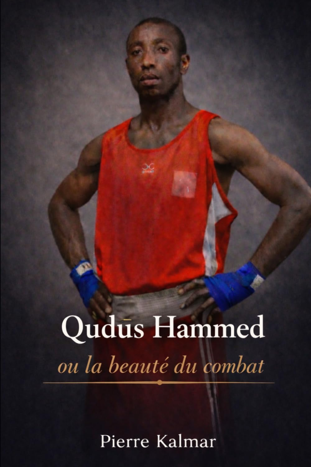 ler totalmente Hammed Qudus: La beauté du combat (French Edition)