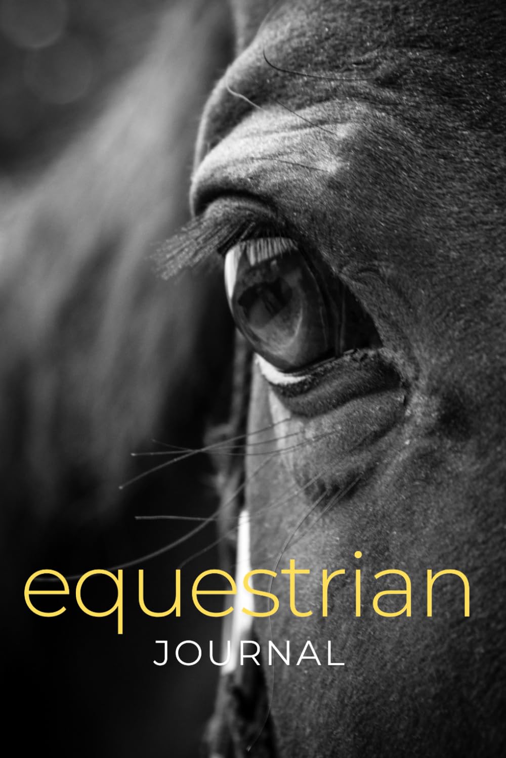 capítulo por capítulo baixar Equestrian Journal: Designed for you and your horse