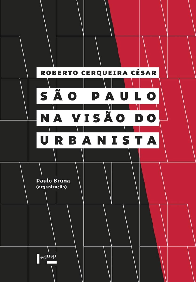 São Paulo Na Visão Do Urbanista