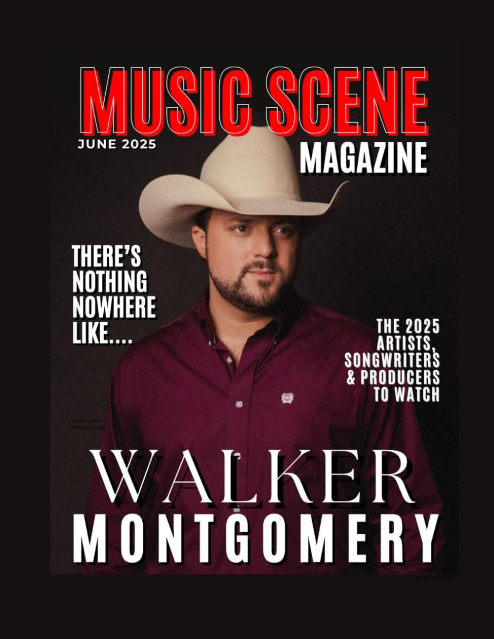 ler totalmente Nashville's Music Scene Magazine