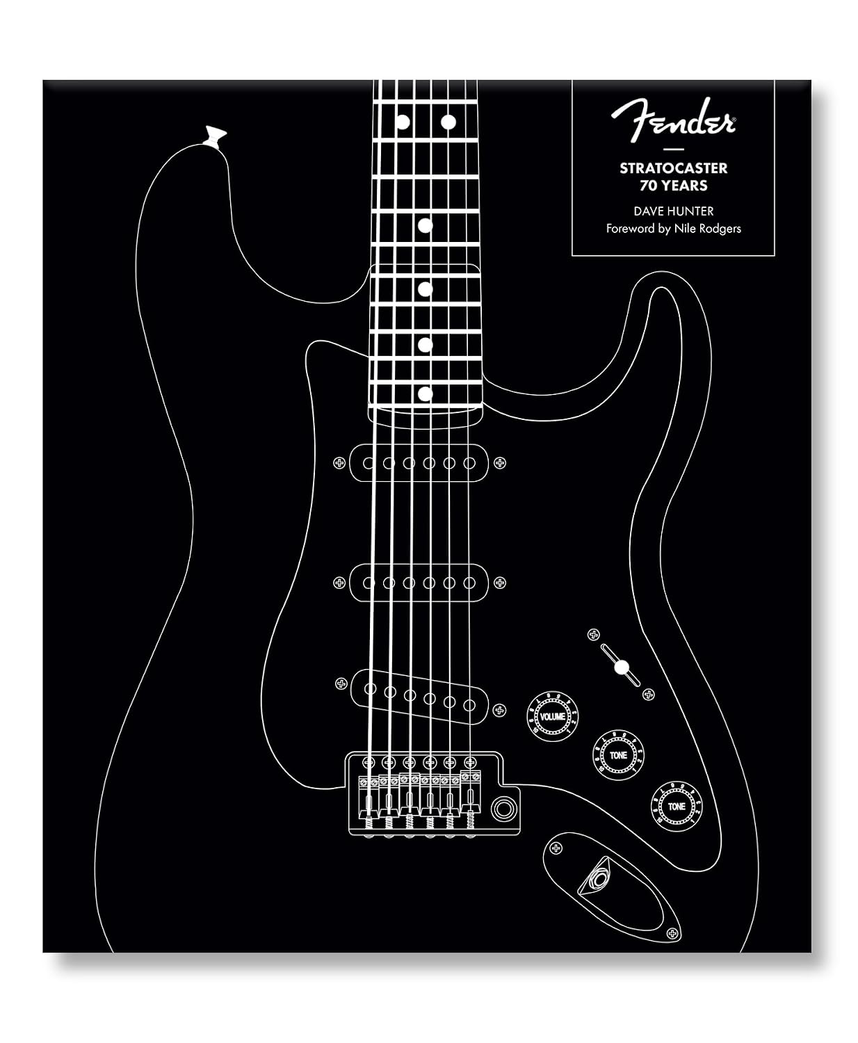 Fender Stratocaster 70 Years baixar o livro de graça