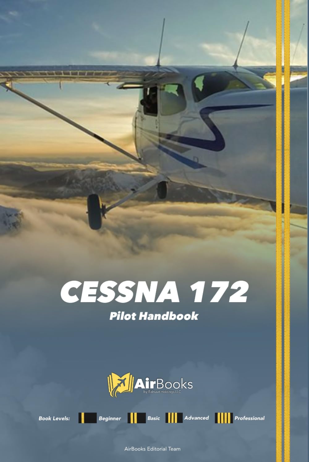 Cessna 172 Pilot Handbook: Pilot training guide. Premium Full-Color Edition baixar o livro de graça