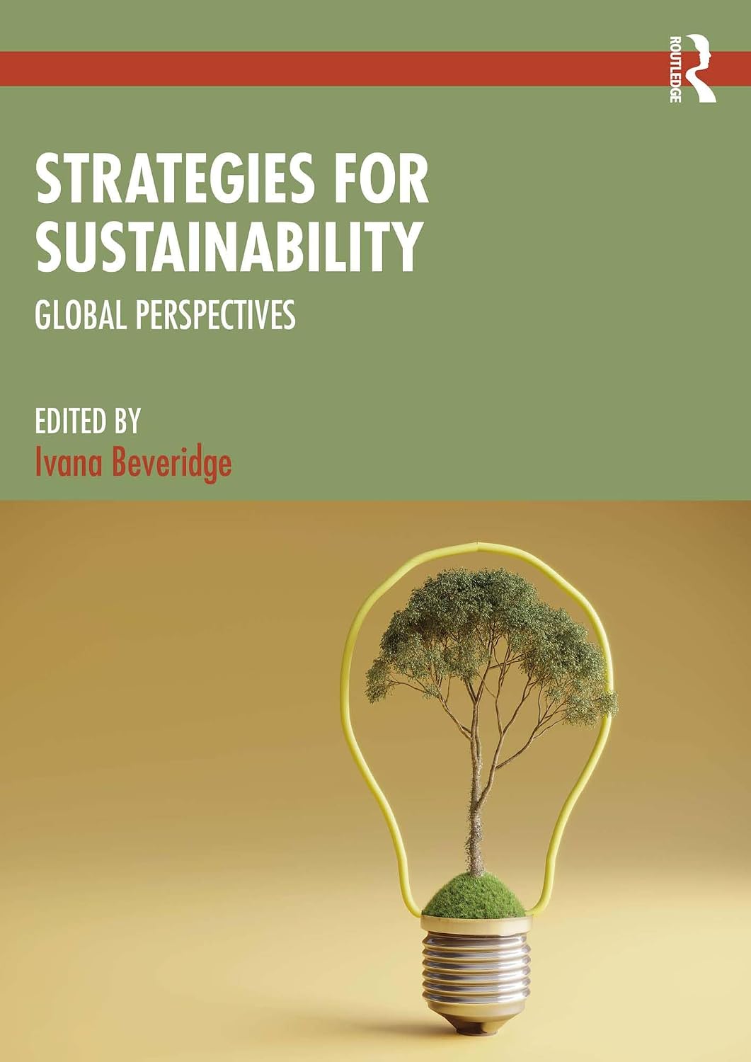 ler totalmente Strategies for Sustainability: Global Perspectives (English Edition)