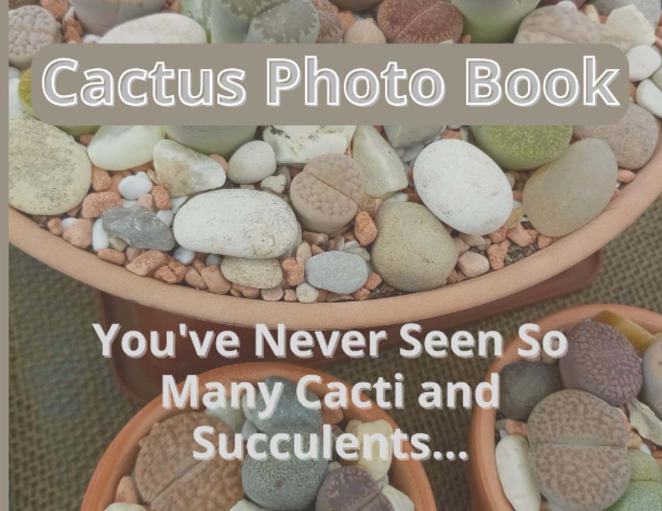 The Cactus Photo Book: You've Never Seen So Many Cacti and Succulents (Italian Edition) baixar o livro de graça