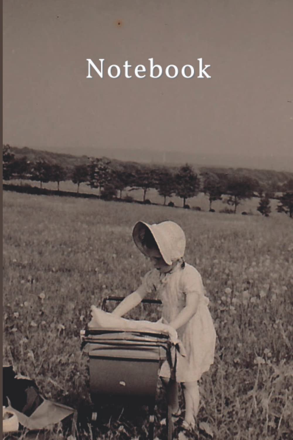 Notebook: A vintage style notebook for memories and notes to remember, perfect gifts for Grandmothers and those who love vintage photography baixar livro de graça