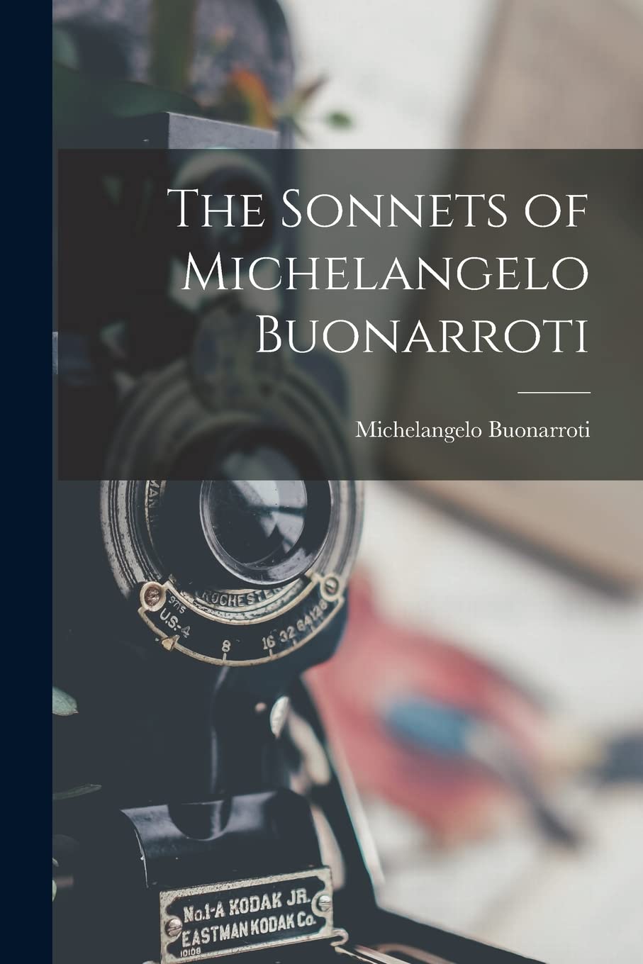 ler totalmente The Sonnets of Michelangelo Buonarroti
