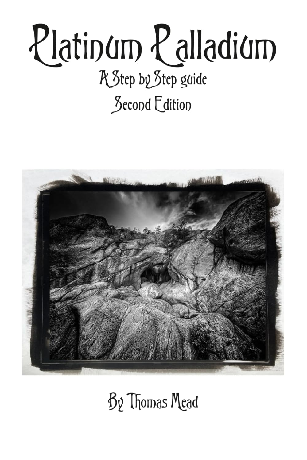 ler totalmente A guide to modern Platinum Palladium: A Step-by-Step Guide